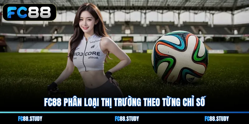 FC88 phân loại thị trường theo từng chỉ số