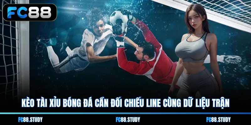 Kèo tài xỉu bóng đá cần đối chiếu line cùng dữ liệu trận