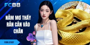 Nằm Mơ Thấy Rắn Cắn Vào Chân