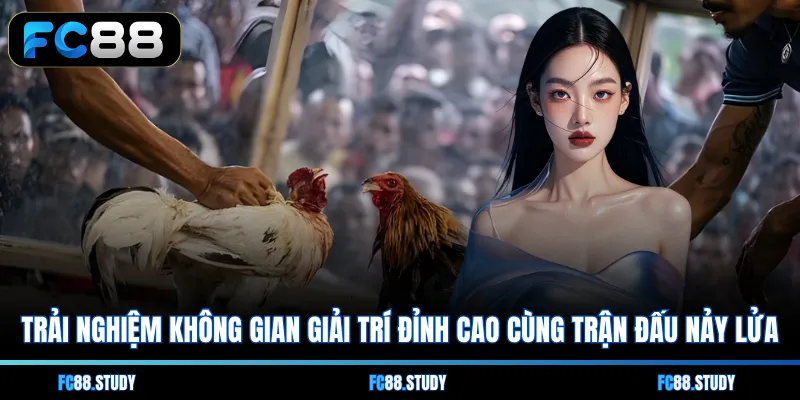 Trải nghiệm không gian giải trí đỉnh cao cùng trận đấu nảy lửa 